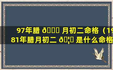 97年腊 🕊 月初二命格（1981年腊月初二 🦈 是什么命格）